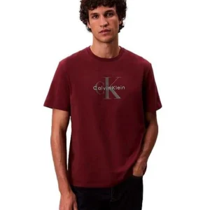 T-shirt uomo rossa in cotone