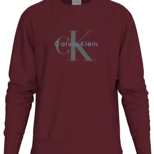 Felpa uomo bordeaux in cotone