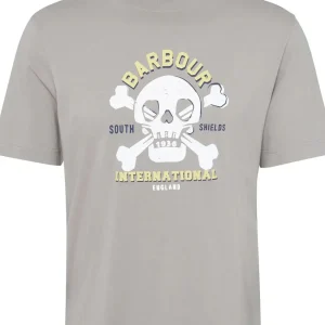 T-Shirt uomo grigia  in cotone