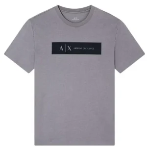 T-shirt uomo grigia in cotone