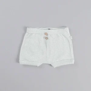 1 + In the family - Bermuda Salva