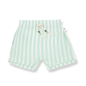 Bermuda Giotto Green