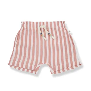 Bermuda Giotto Coral