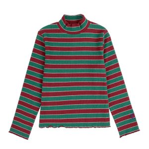 Multicolor Stripes turtle neck T-shirt