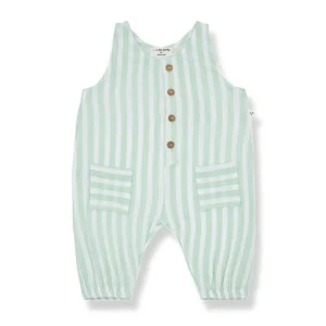 Salopette Inigo Green